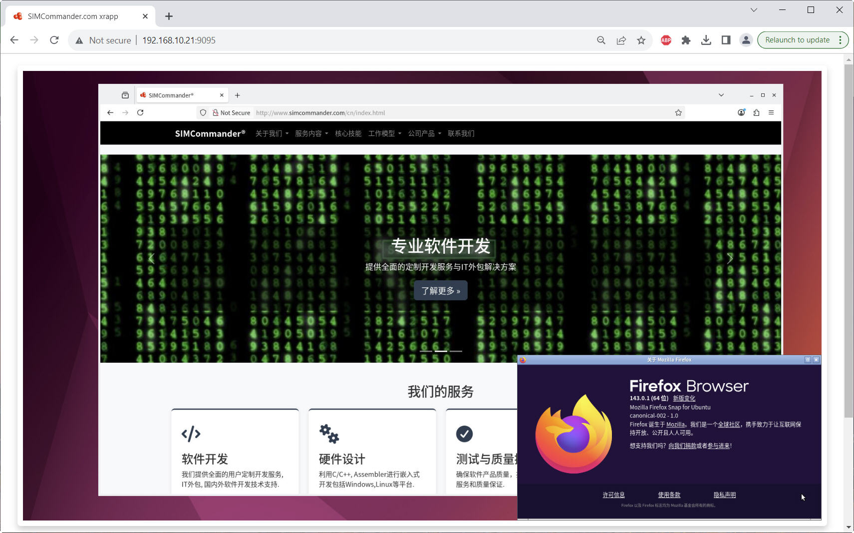 Linux Application Running in Browser